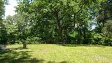 41.8 Hwy 127, Pikeville, TN 37367